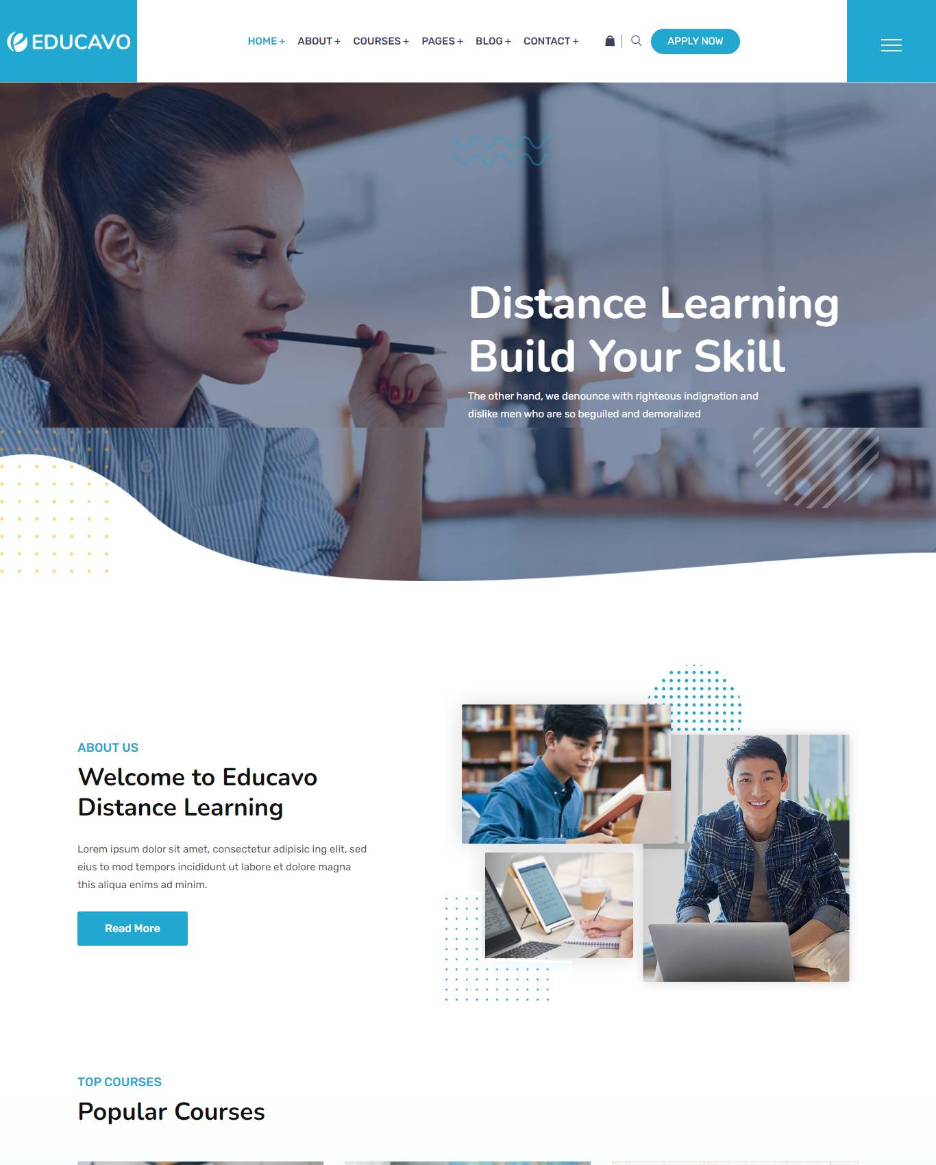 Educavo Distance Learning