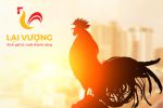 Lại Vương